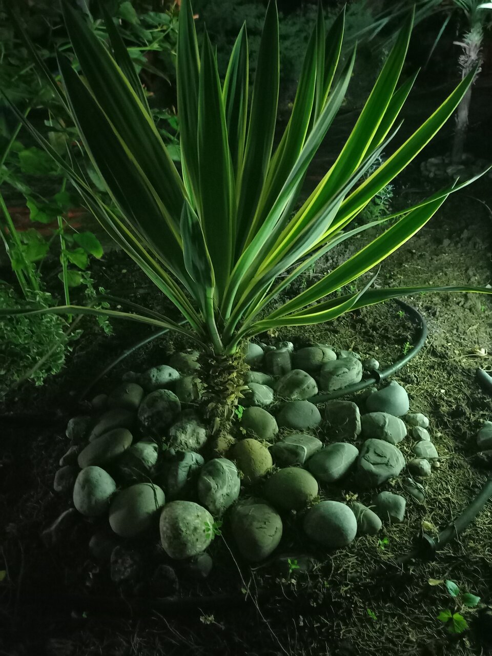 Гостиница Камелот Малореченское-235