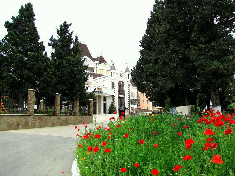 Гостиница Камелот Малореченское-75