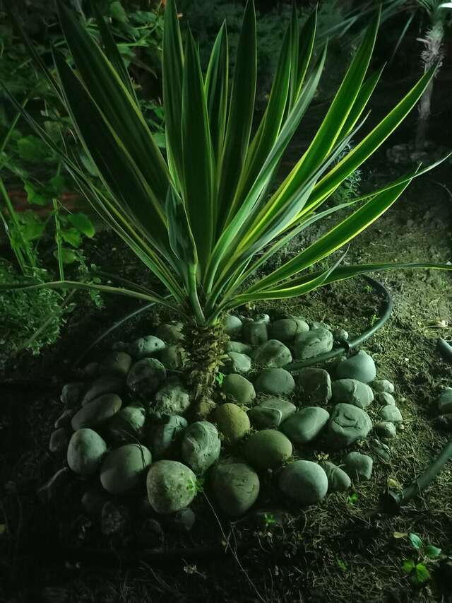 Гостиница Камелот Малореченское-234